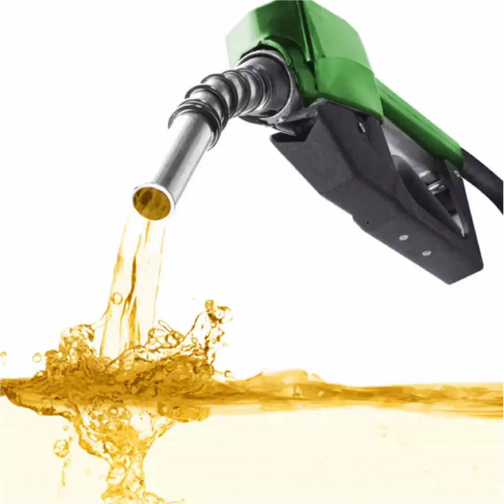 band4-music-pic21 band4-music-pic21